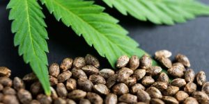 WhatsApp Image 2025-11-21 at 3.01.14 PM (2)